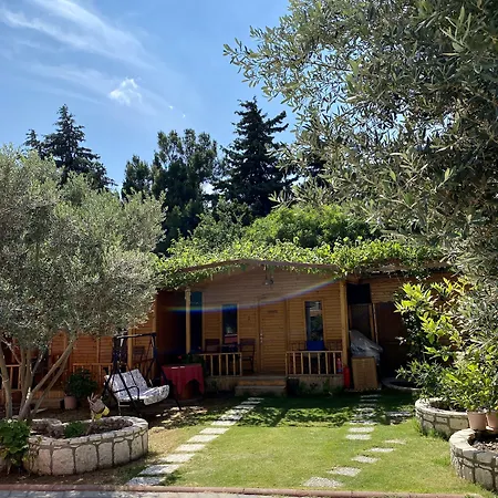 Hotel Cilek Butik Cesme