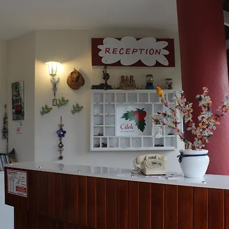 Готель Cilek Butik 3*